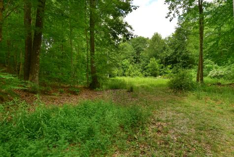 Vernon CT 06066