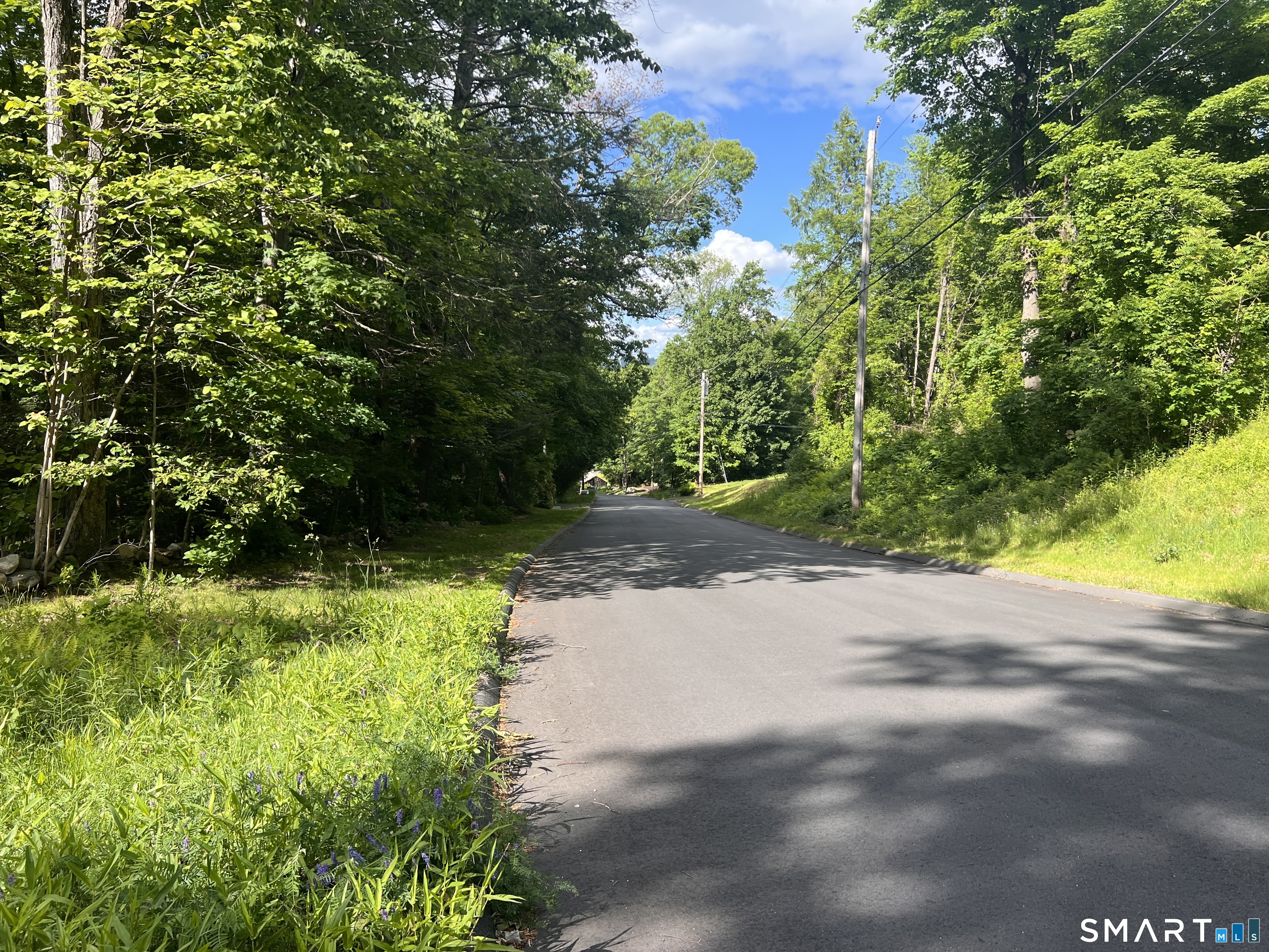 Cotton Hill Road New Hartford CT 06057