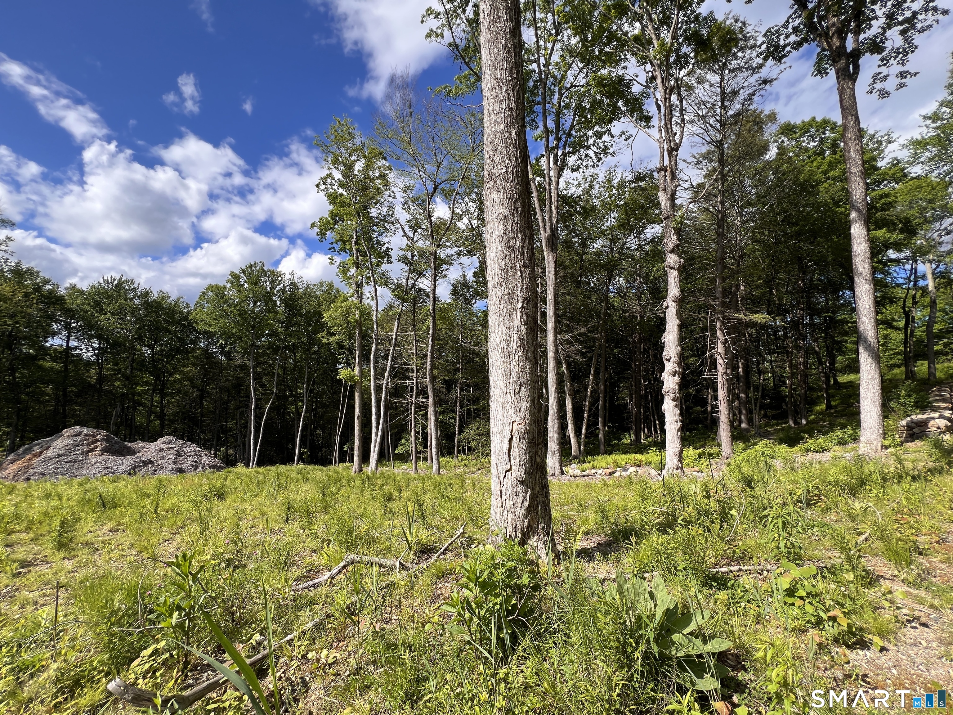 Cotton Hill Road New Hartford CT 06057