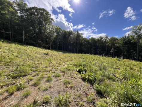Cotton Hill Road New Hartford CT 06057