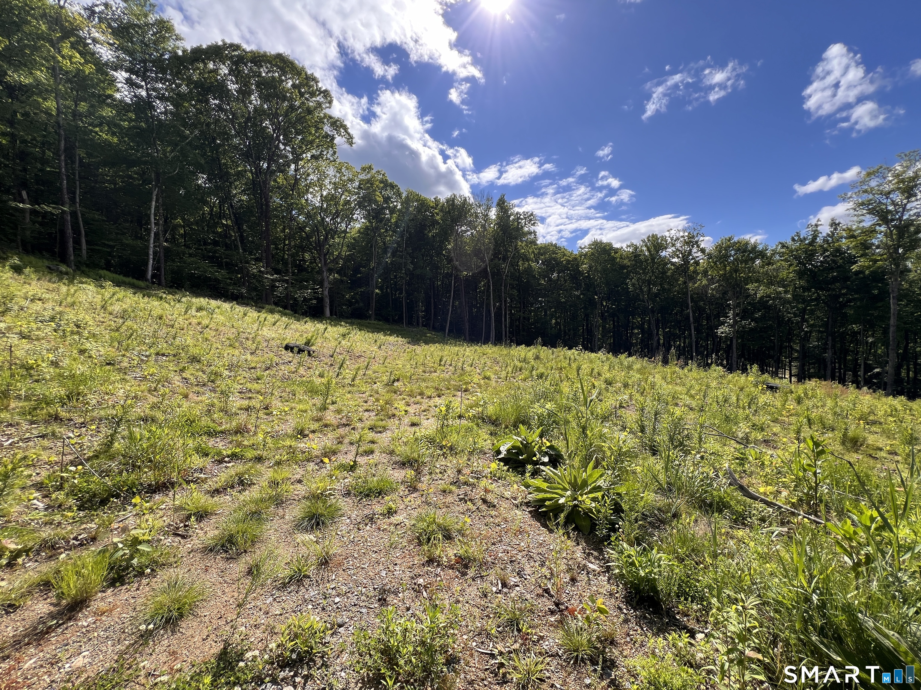 Cotton Hill Road New Hartford CT 06057