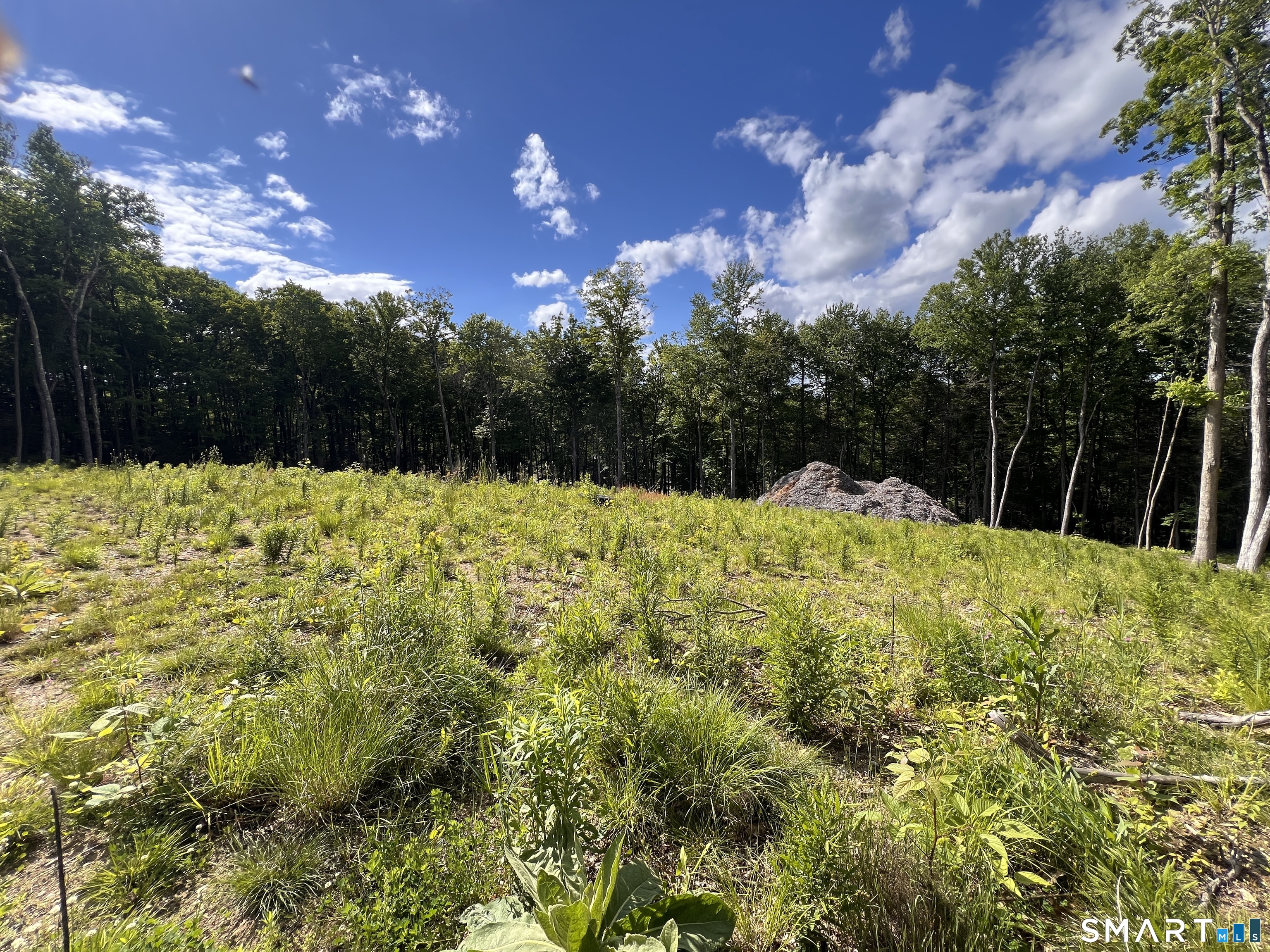 Cotton Hill Road New Hartford CT 06057