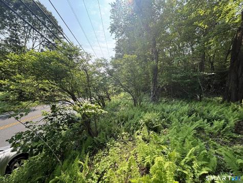 44 Cheshire Road Prospect CT 06712