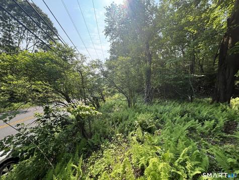 44 Cheshire Road Prospect CT 06712