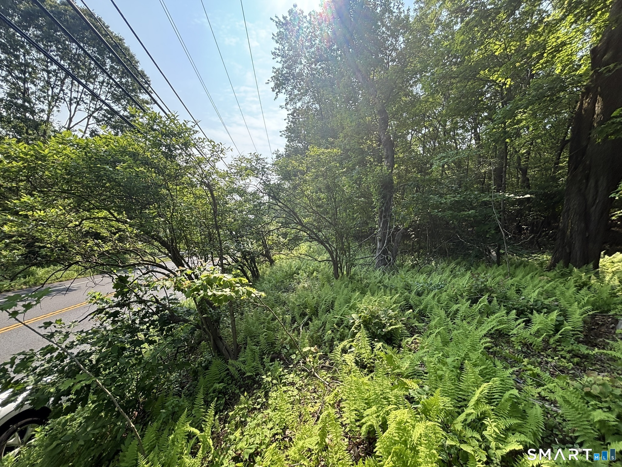 44 Cheshire Road Prospect CT 06712