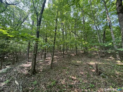 44 Cheshire Road Prospect CT 06712