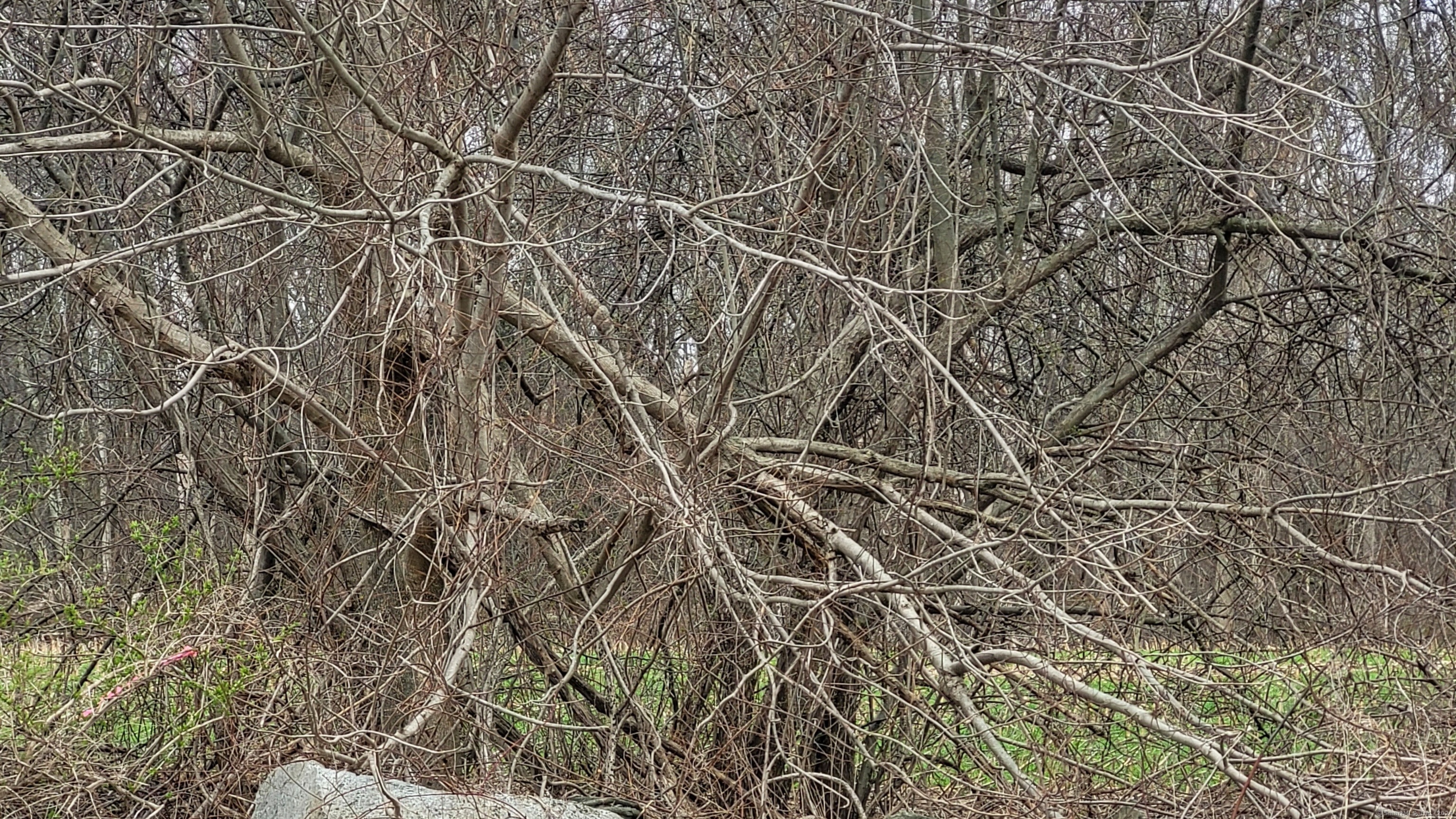 Lot 2 Church Street Hebron CT 06248