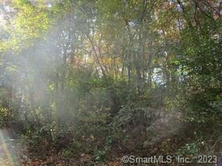 Lot#98 Longwood Drive Naugatuck CT 06770
