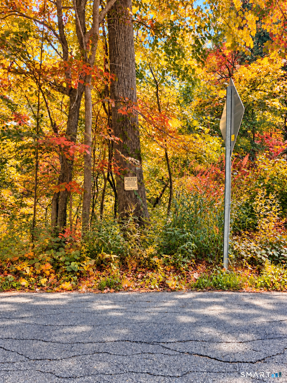 Cherry Swamp Road East Haddam CT 06469