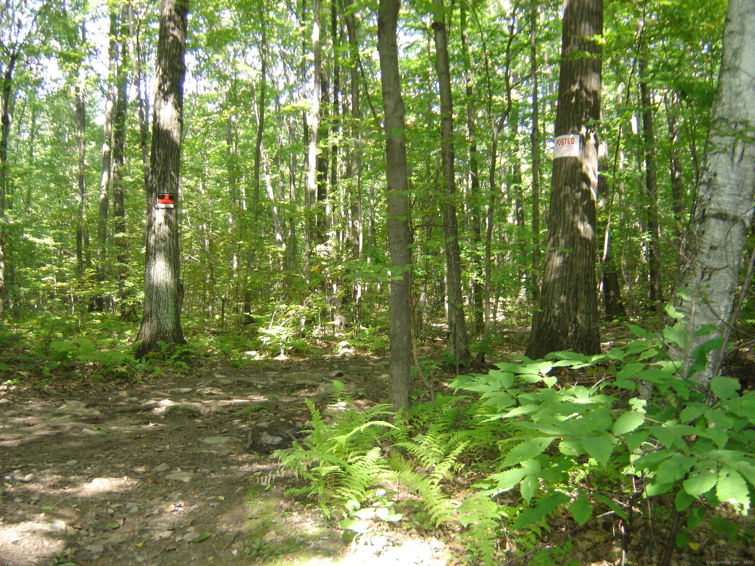 Porter Road Ellington CT 06029