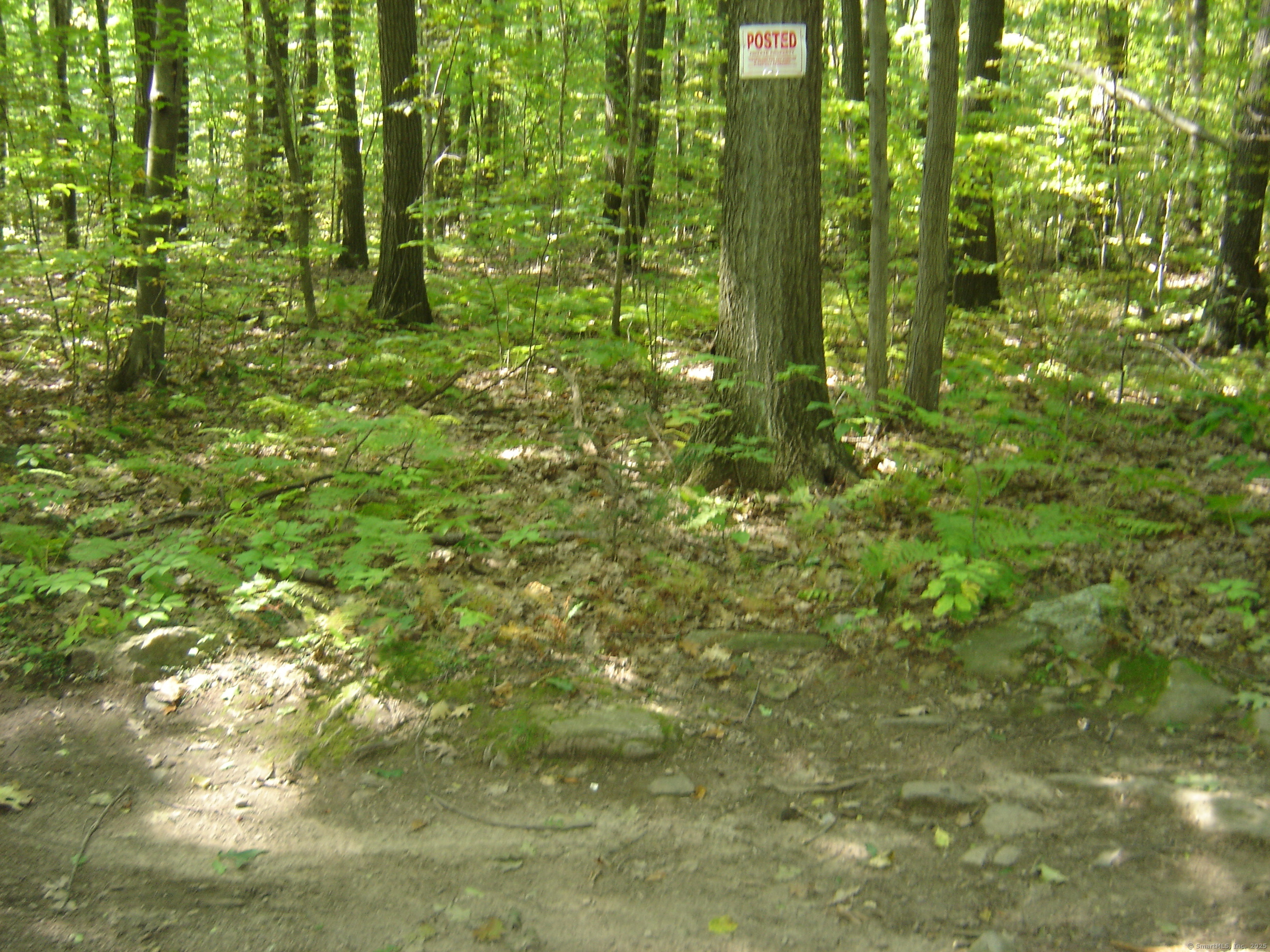 Porter Road Ellington CT 06029