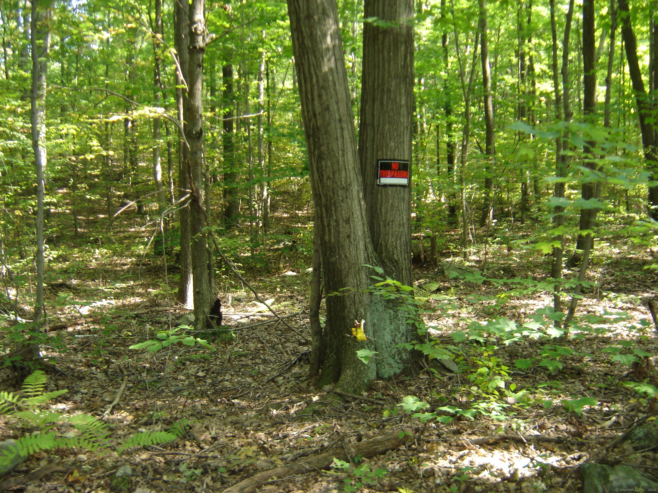 Porter Road Ellington CT 06029