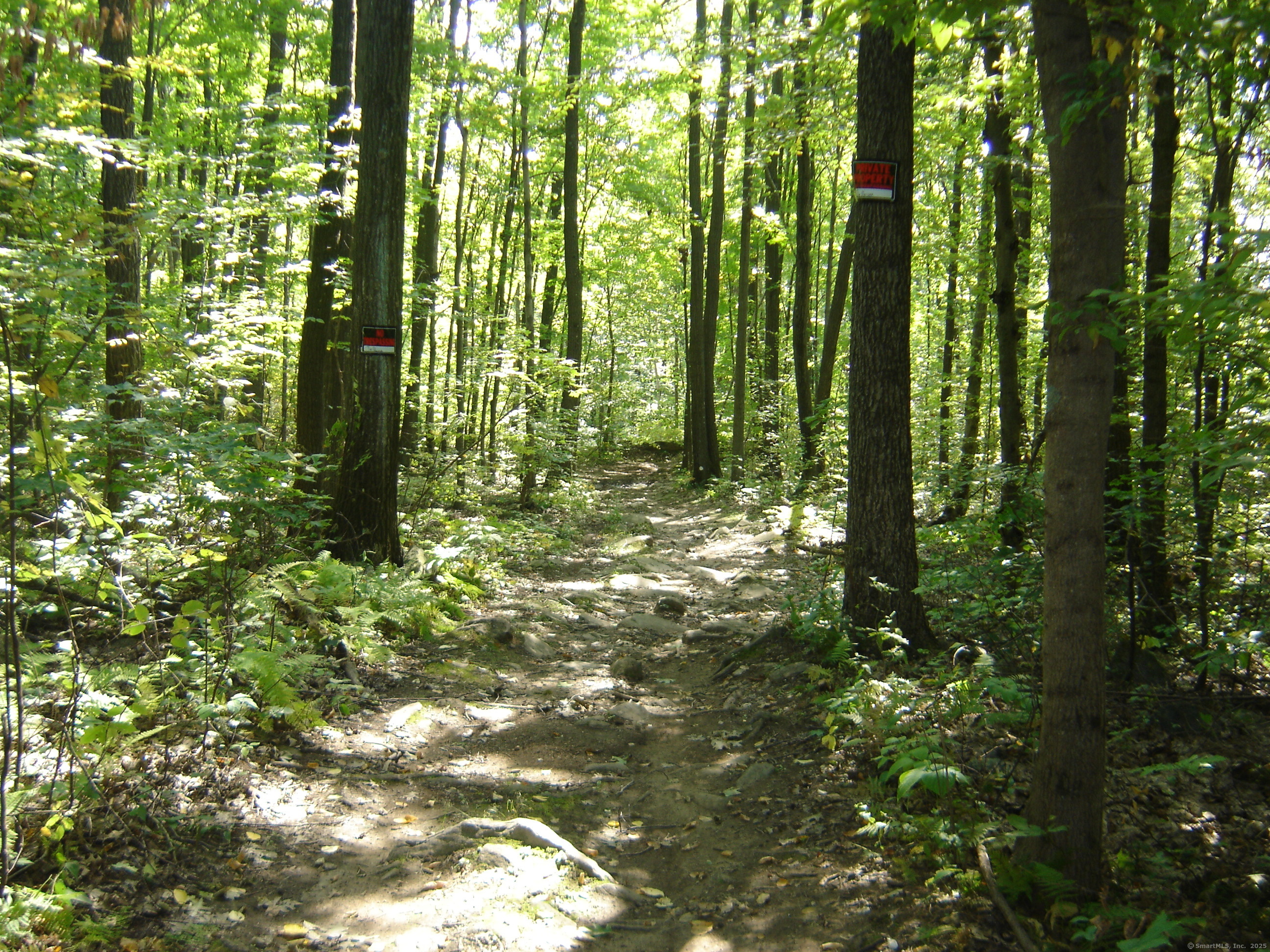 Porter Road Ellington CT 06029