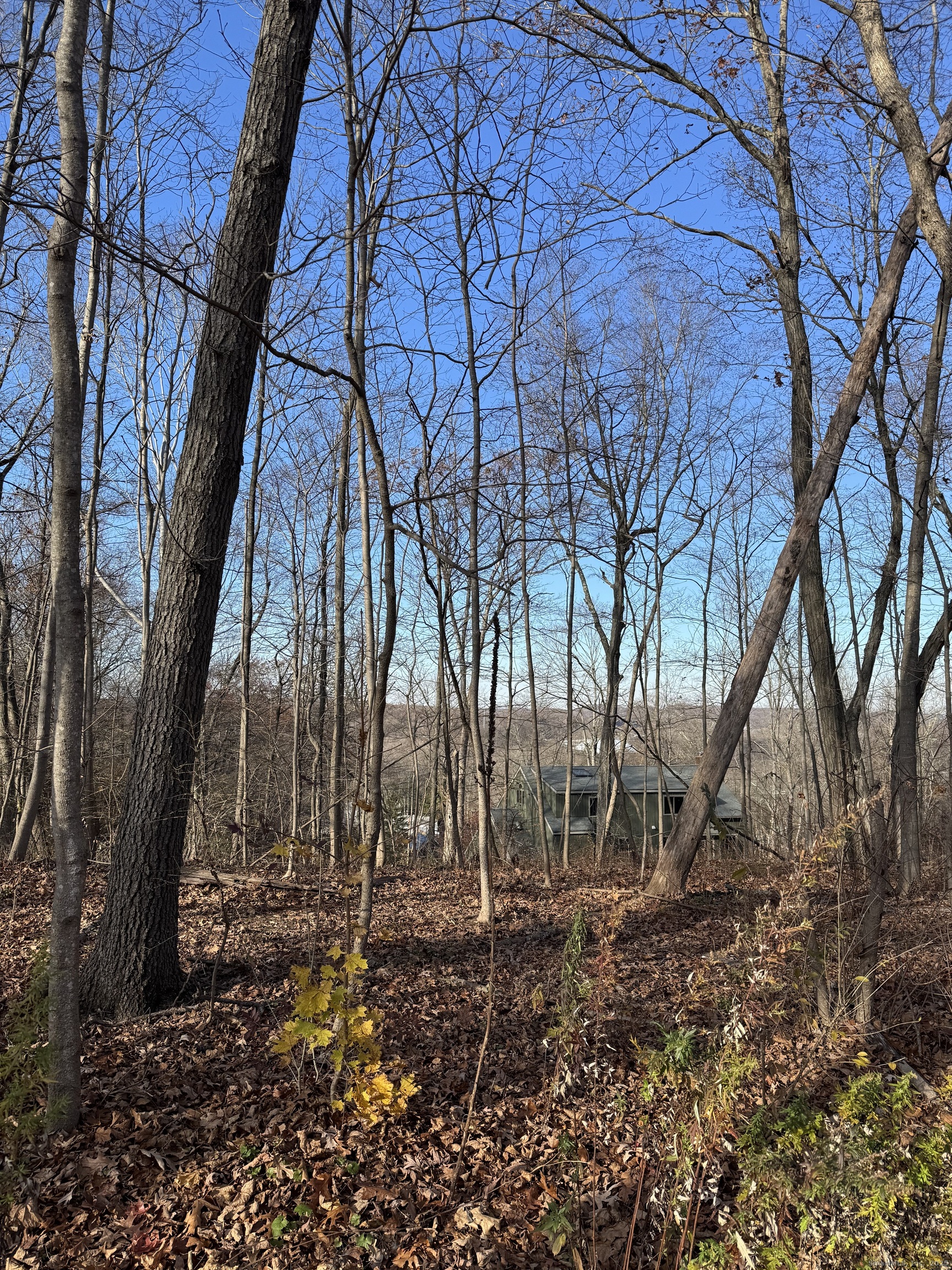 71 Hilltop Drive Branford CT 06405