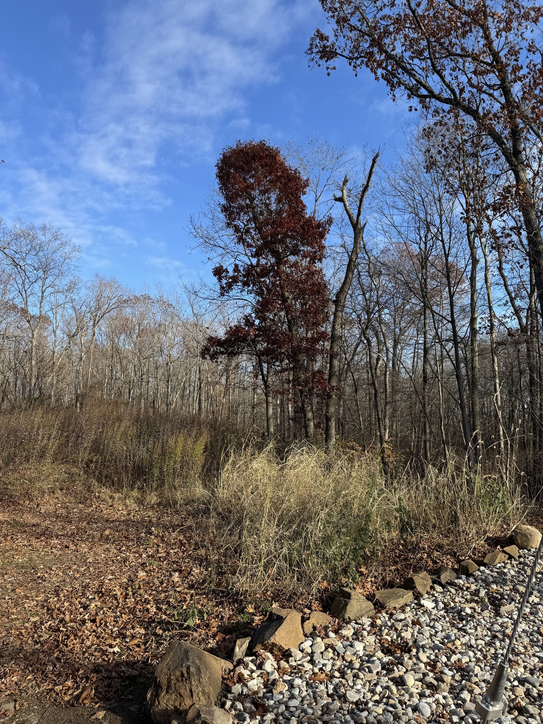 71 Hilltop Drive Branford CT 06405