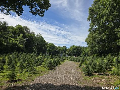 Route 6 Route Andover CT 06232