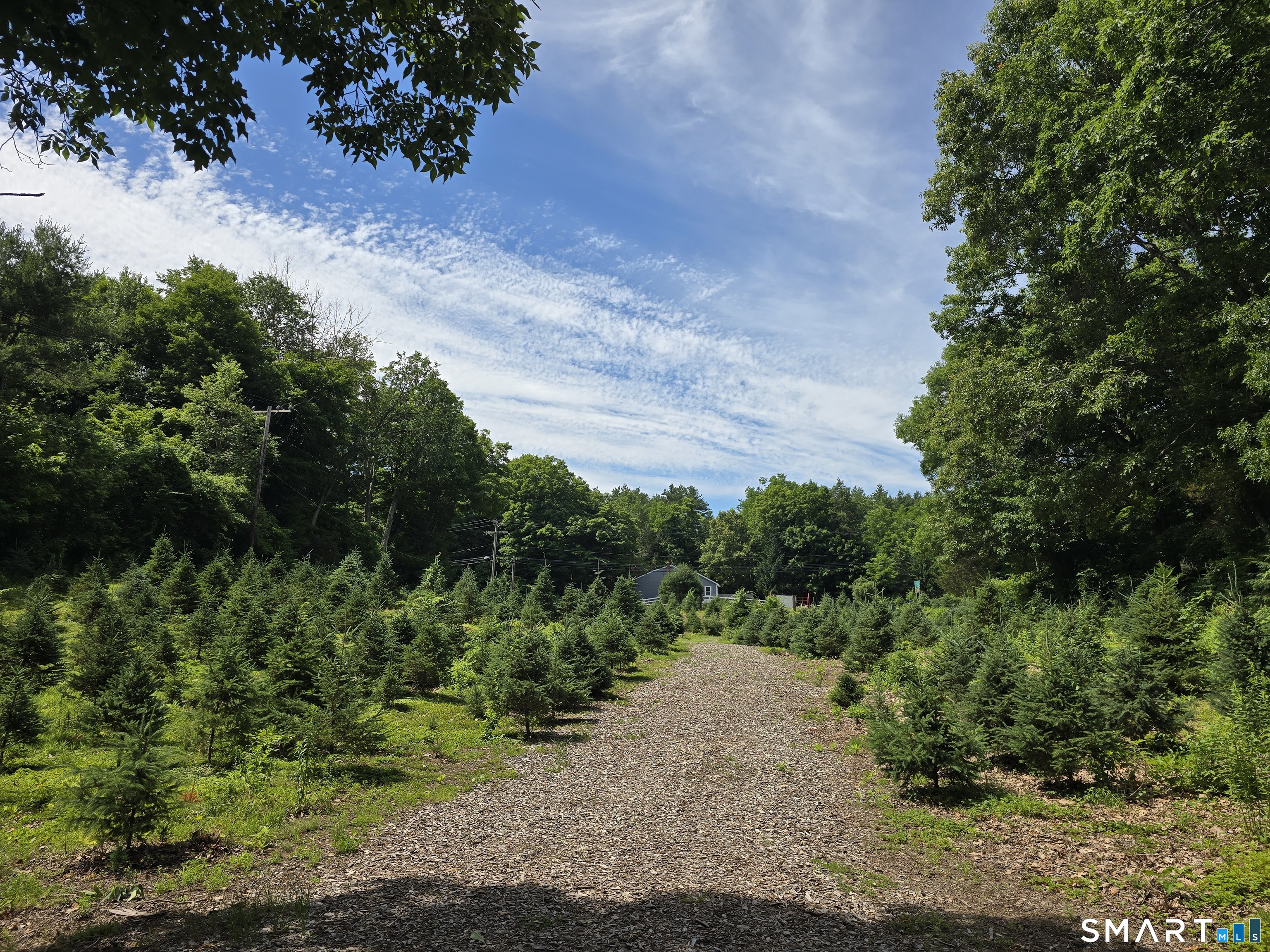 Route 6 Route Andover CT 06232