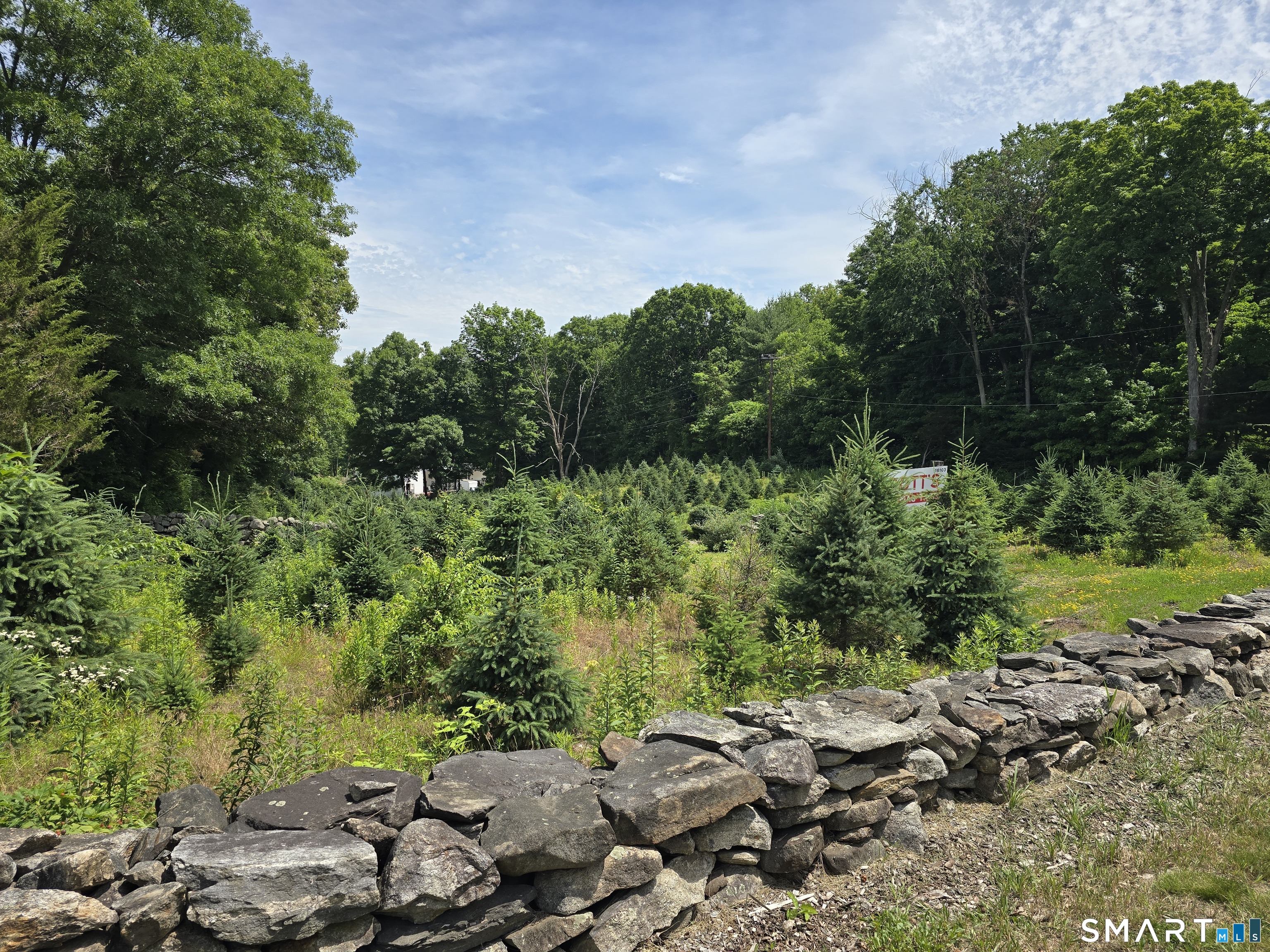 Route 6 Route Andover CT 06232