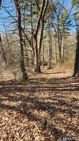 4 Rye Street East Windsor CT 06016