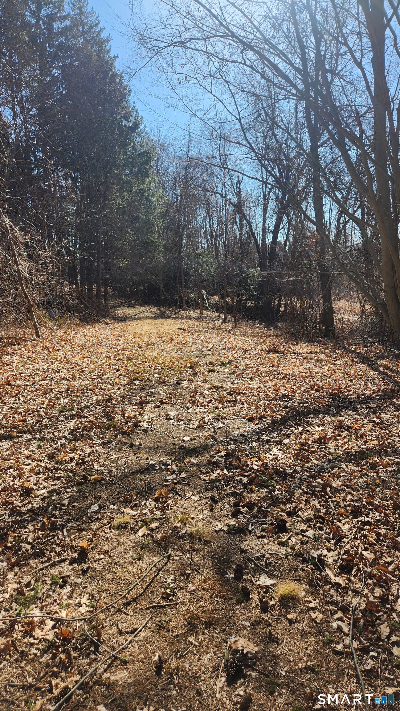 4 Rye Street East Windsor CT 06016