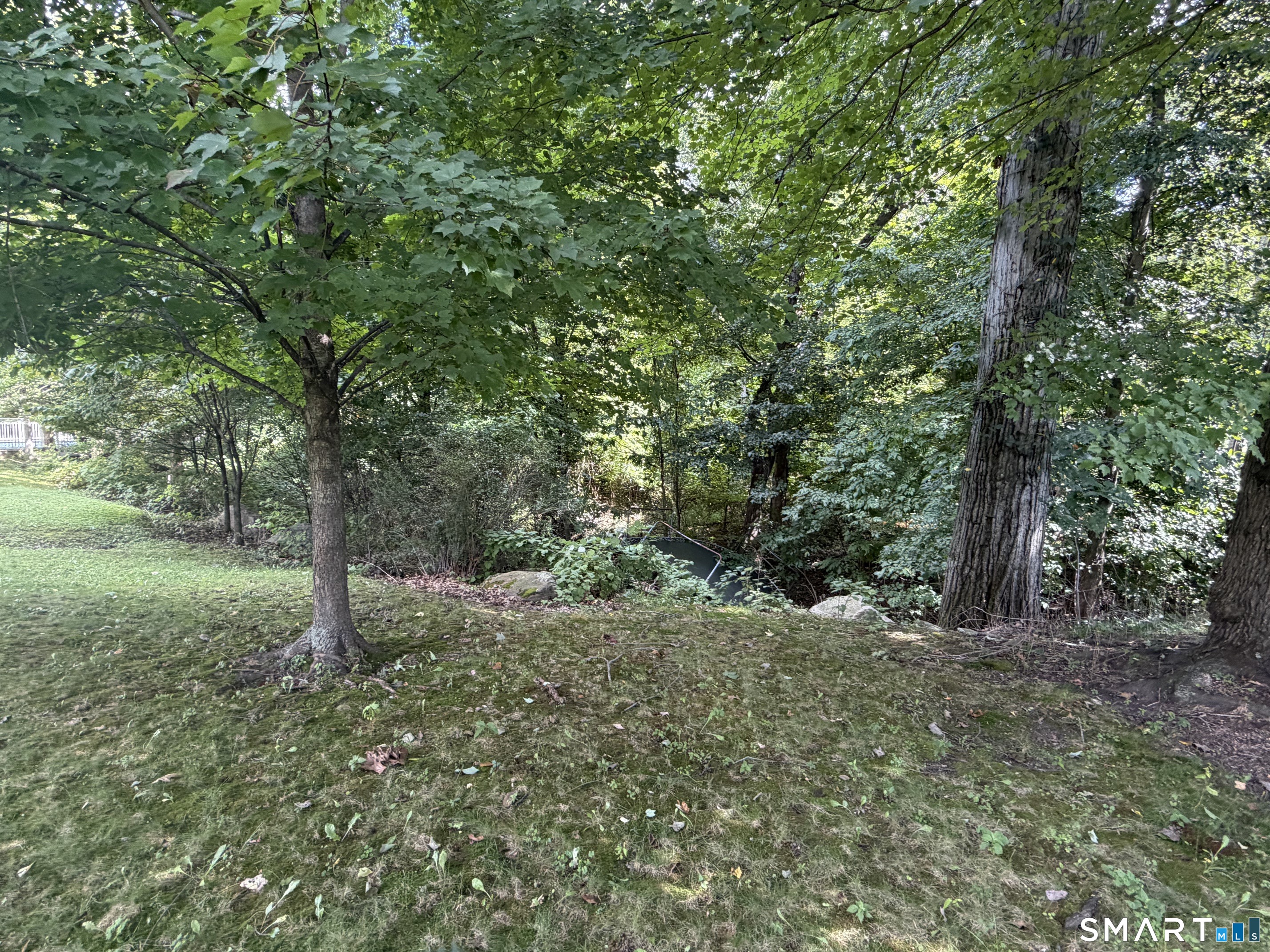357 Park Drive Bridgeport CT 06608