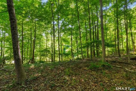 466 Weed Street New Canaan CT 06840