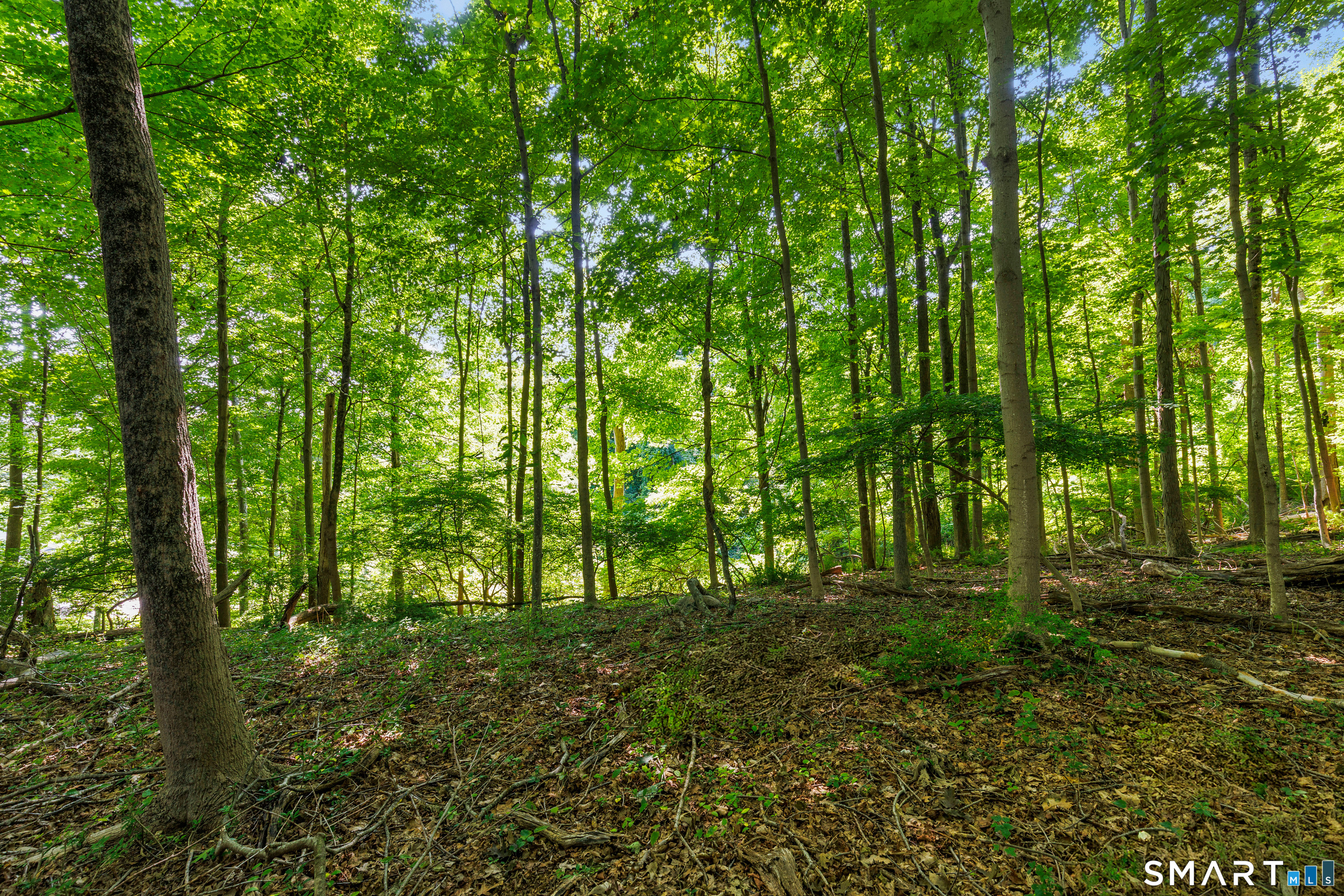 466 Weed Street New Canaan CT 06840
