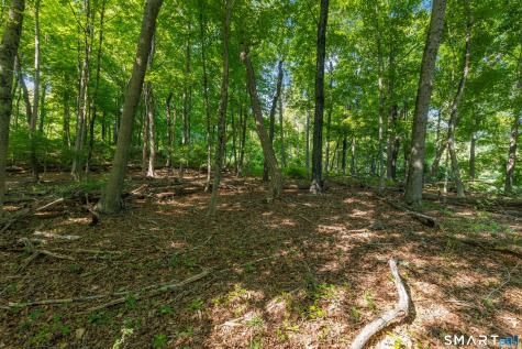 466 Weed Street New Canaan CT 06840
