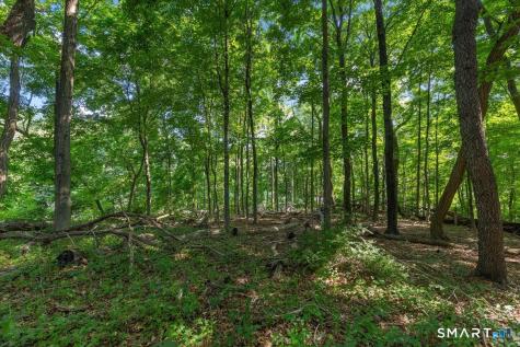 466 Weed Street New Canaan CT 06840