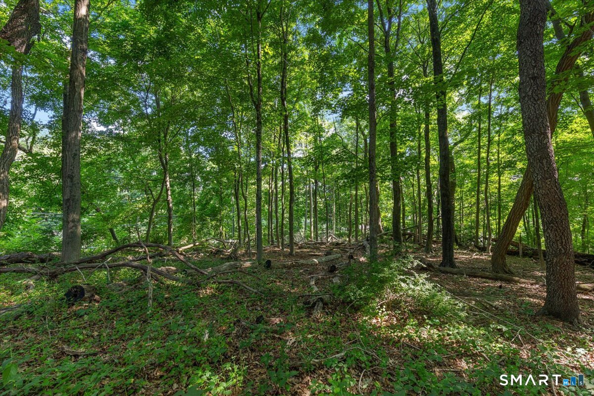 466 Weed Street New Canaan CT 06840