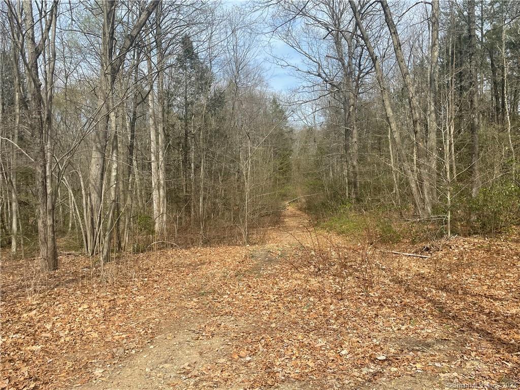 Old Mill Road Wilton CT 06897