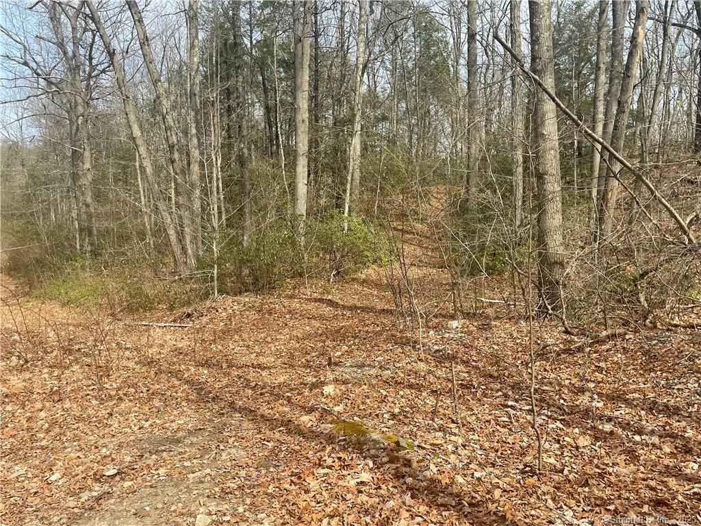 Old Mill Road Wilton CT 06897