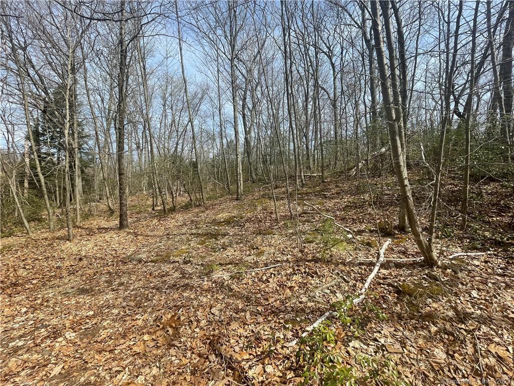 Old Mill Road Wilton CT 06897