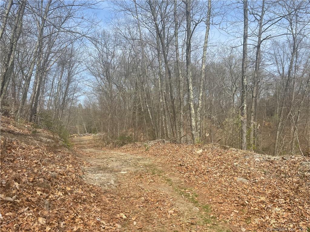 Old Mill Road Wilton CT 06897