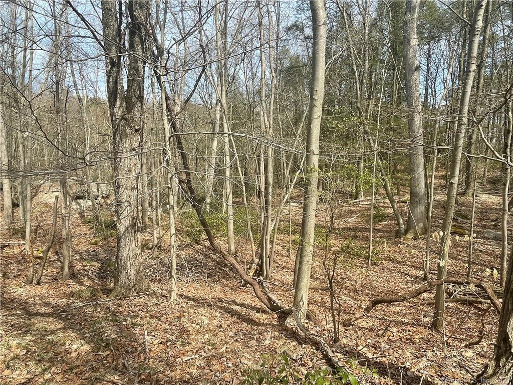 Old Mill Road Wilton CT 06897