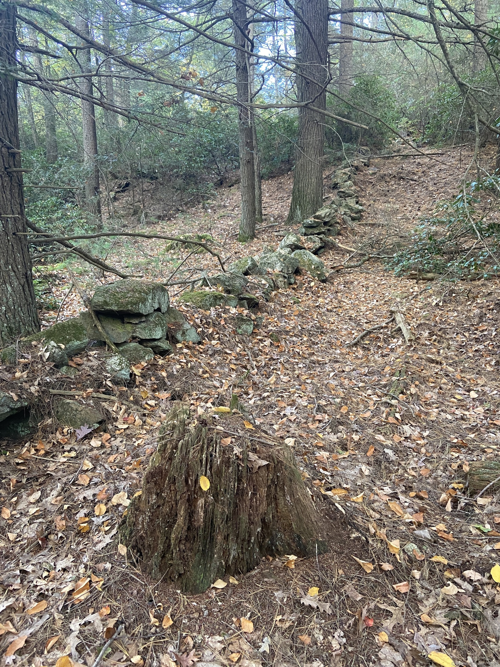 00 Ide Perrin Road Woodstock CT 06281