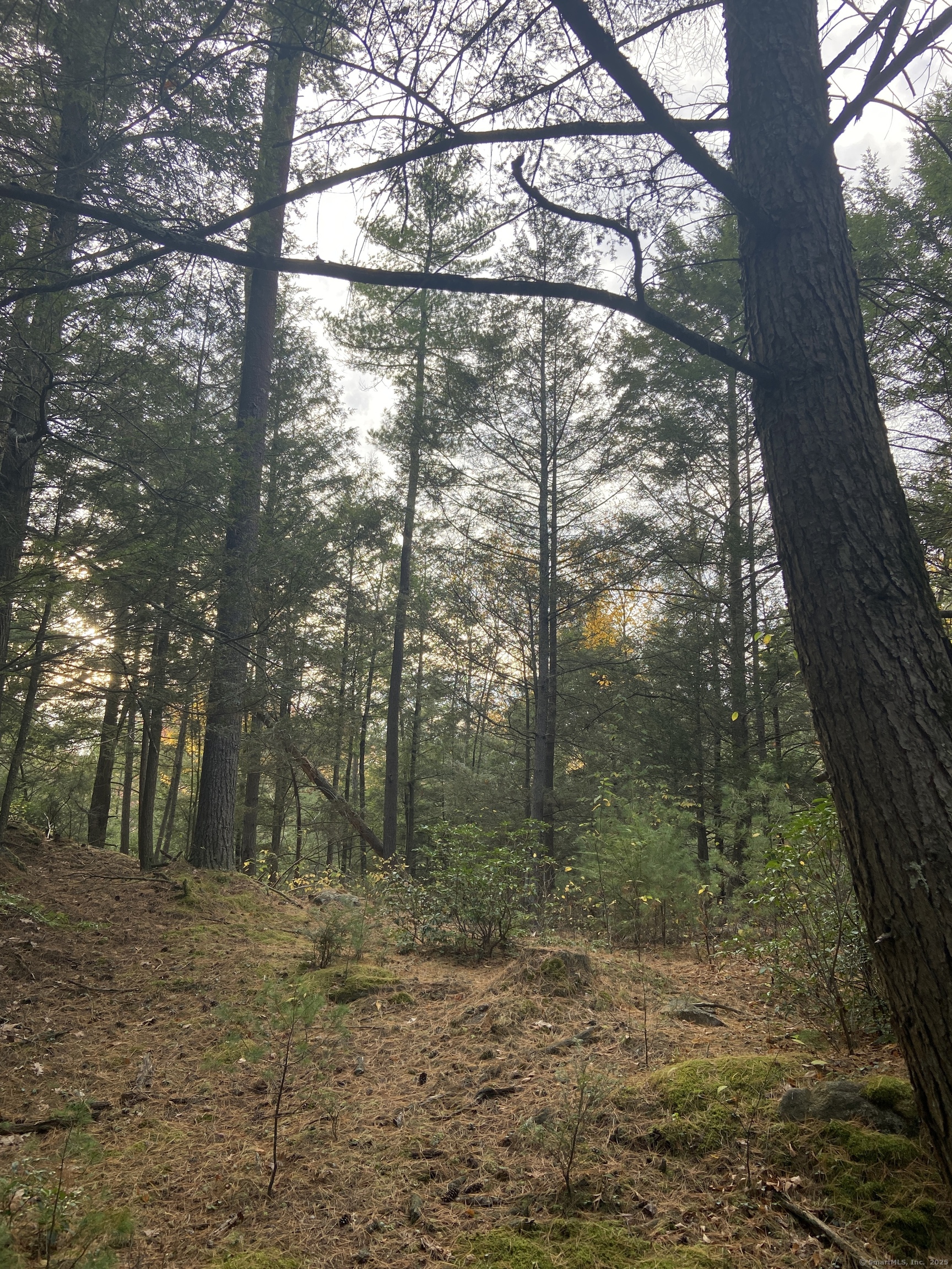 00 Ide Perrin Road Woodstock CT 06281