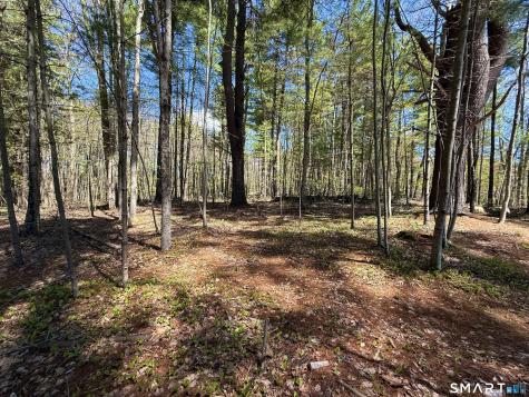 Weingart Road Harwinton CT 06791