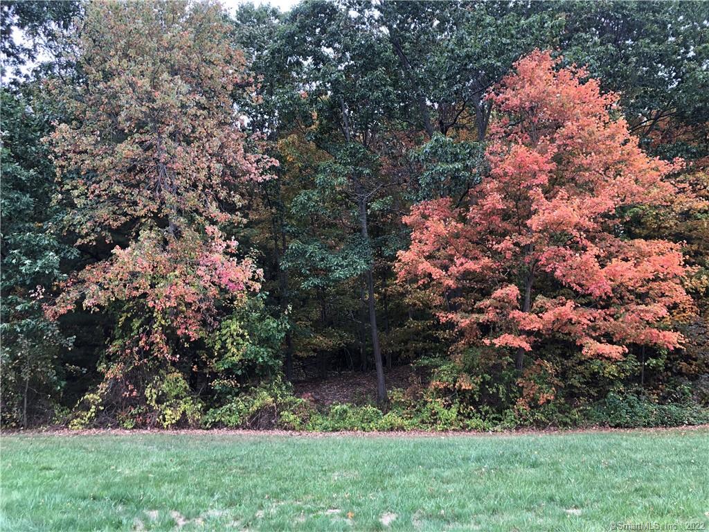 31 Brighton Drive East Granby CT 06026