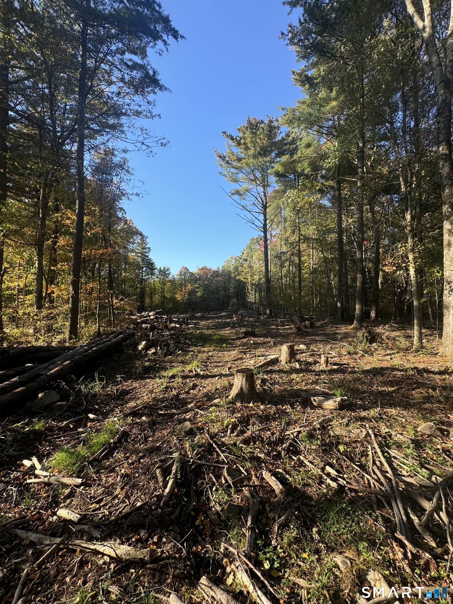 Lot 9 Red Fox Run Canton CT 06019