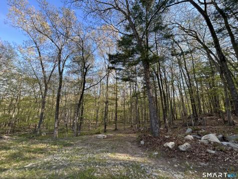 78 Salt Rock Road Sprague CT 06330