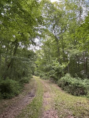 78 Salt Rock Road Sprague CT 06330
