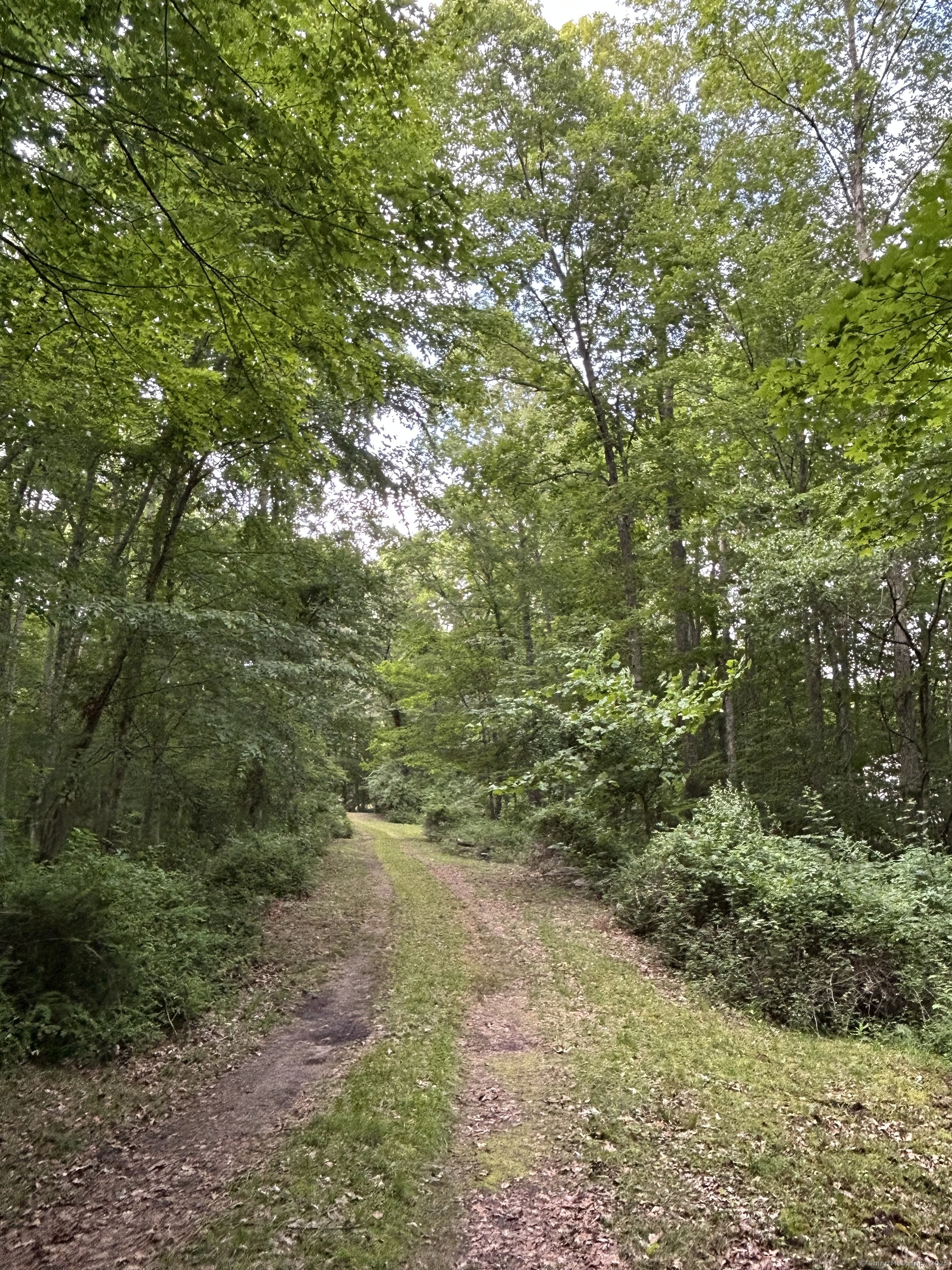78 Salt Rock Road Sprague CT 06330