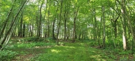 287 Boston Post Road Old Lyme CT 06371