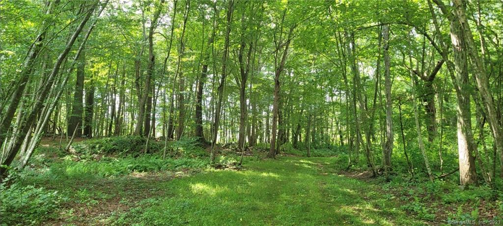 287 Boston Post Road Old Lyme CT 06371