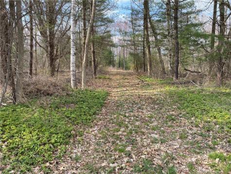 10 Weingart Road Harwinton CT 06791