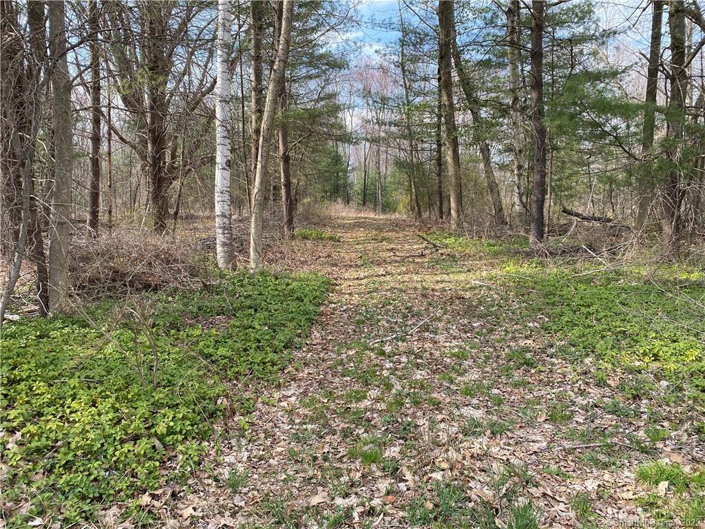 10 Weingart Road Harwinton CT 06791