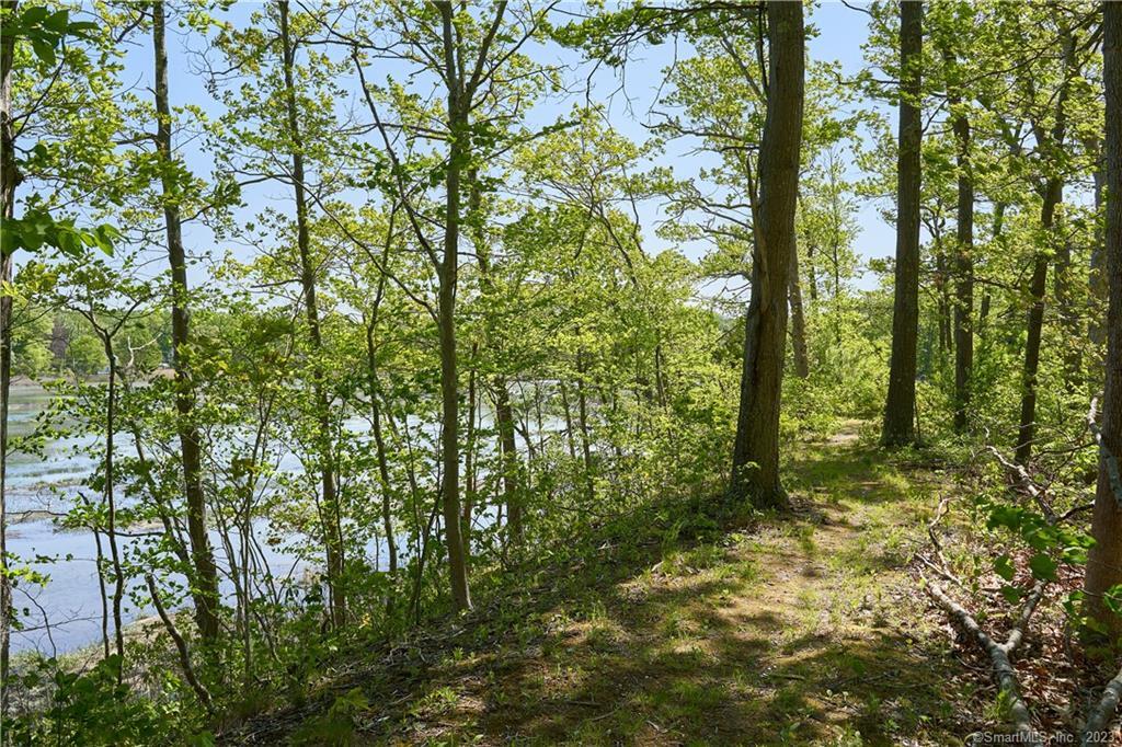 12 Bowhay Hill Road Branford CT 06405