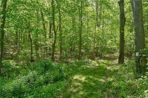 12 Bowhay Hill Road Branford CT 06405