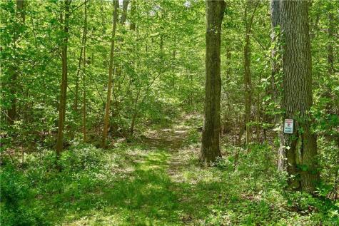 12 Bowhay Hill Road Branford CT 06405